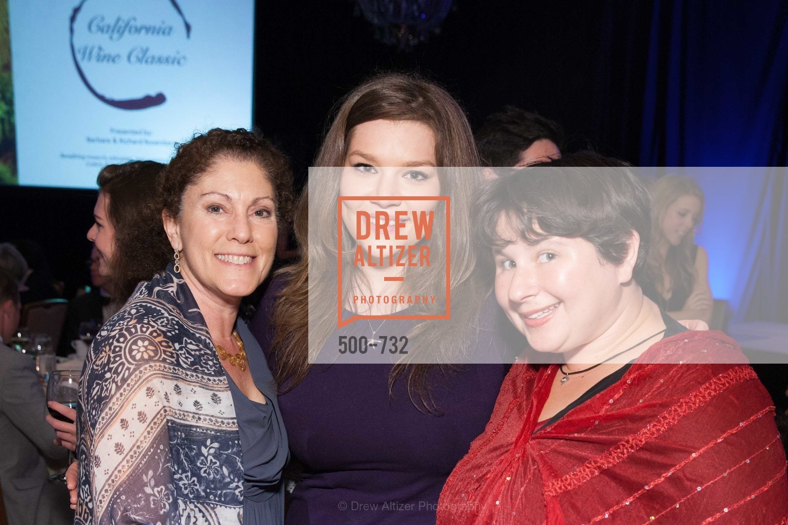 Top Picks, CROHN'S AND COLITIS FOUNDATION'S 18th Annual California Wine Classic, May 16th, 2015, Photo,Drew Altizer, Drew Altizer Photography, full-service agency, private events, San Francisco photographer, photographer california