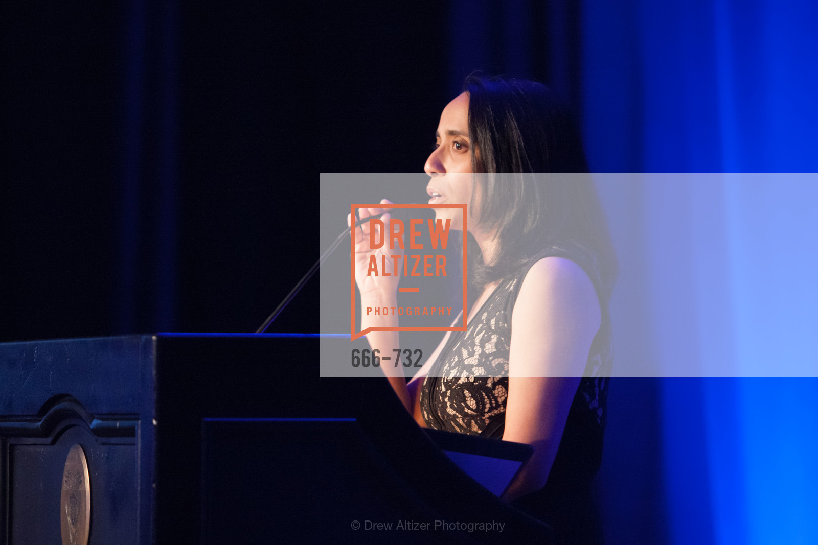 Top Picks, CROHN'S AND COLITIS FOUNDATION'S 18th Annual California Wine Classic, May 16th, 2015, Photo,Drew Altizer, Drew Altizer Photography, full-service agency, private events, San Francisco photographer, photographer california