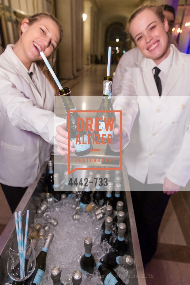 Atmosphere, San Francisco Ballet 2016 Opening Night Gala, San Francisco City Hall. 1 Dr Carlton B Goodlett Pl, January 21st, 2016,Drew Altizer, Drew Altizer Photography, full-service agency, private events, San Francisco photographer, photographer california