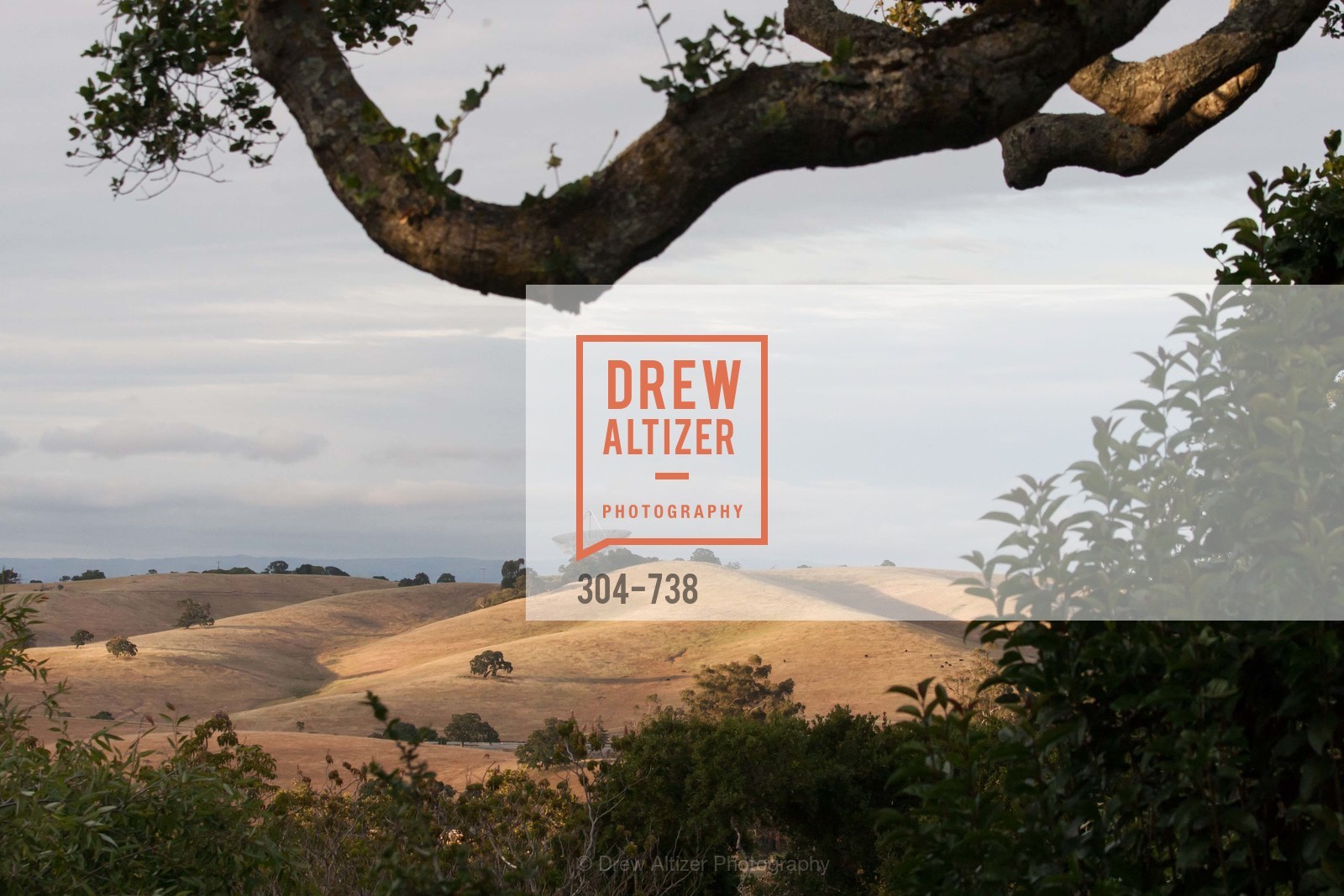 Atmosphere, LymeAid 2015, US, May 18th, 2015,Drew Altizer, Drew Altizer Photography, full-service agency, private events, San Francisco photographer, photographer california
