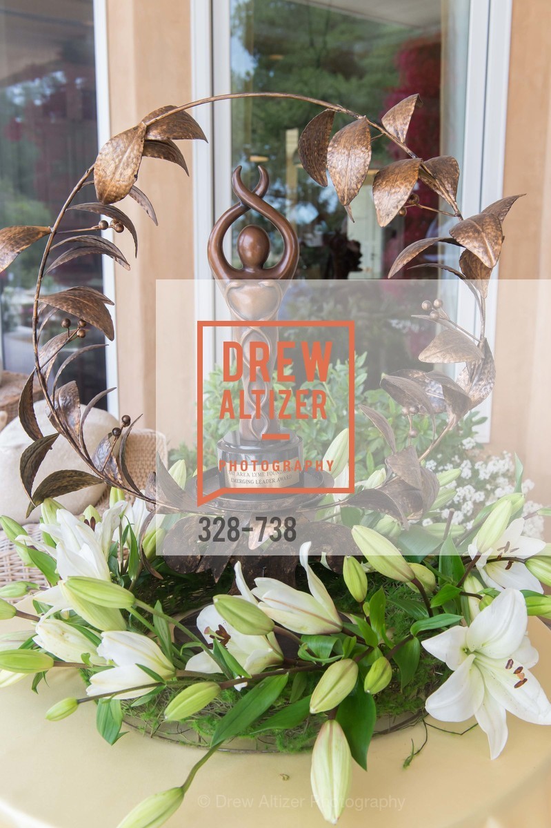 Atmosphere, LymeAid 2015, US, May 18th, 2015,Drew Altizer, Drew Altizer Photography, full-service agency, private events, San Francisco photographer, photographer california