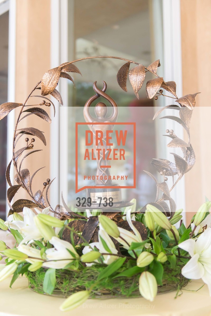 Atmosphere, LymeAid 2015, US, May 18th, 2015,Drew Altizer, Drew Altizer Photography, full-service agency, private events, San Francisco photographer, photographer california