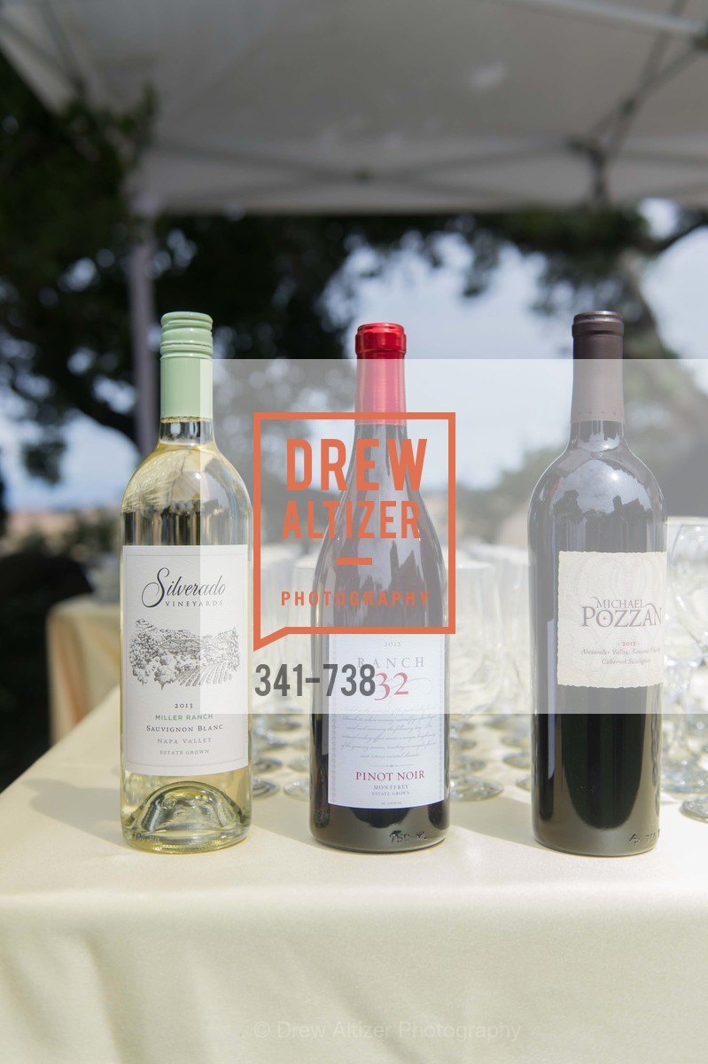 Atmosphere, LymeAid 2015, US, May 18th, 2015,Drew Altizer, Drew Altizer Photography, full-service agency, private events, San Francisco photographer, photographer california