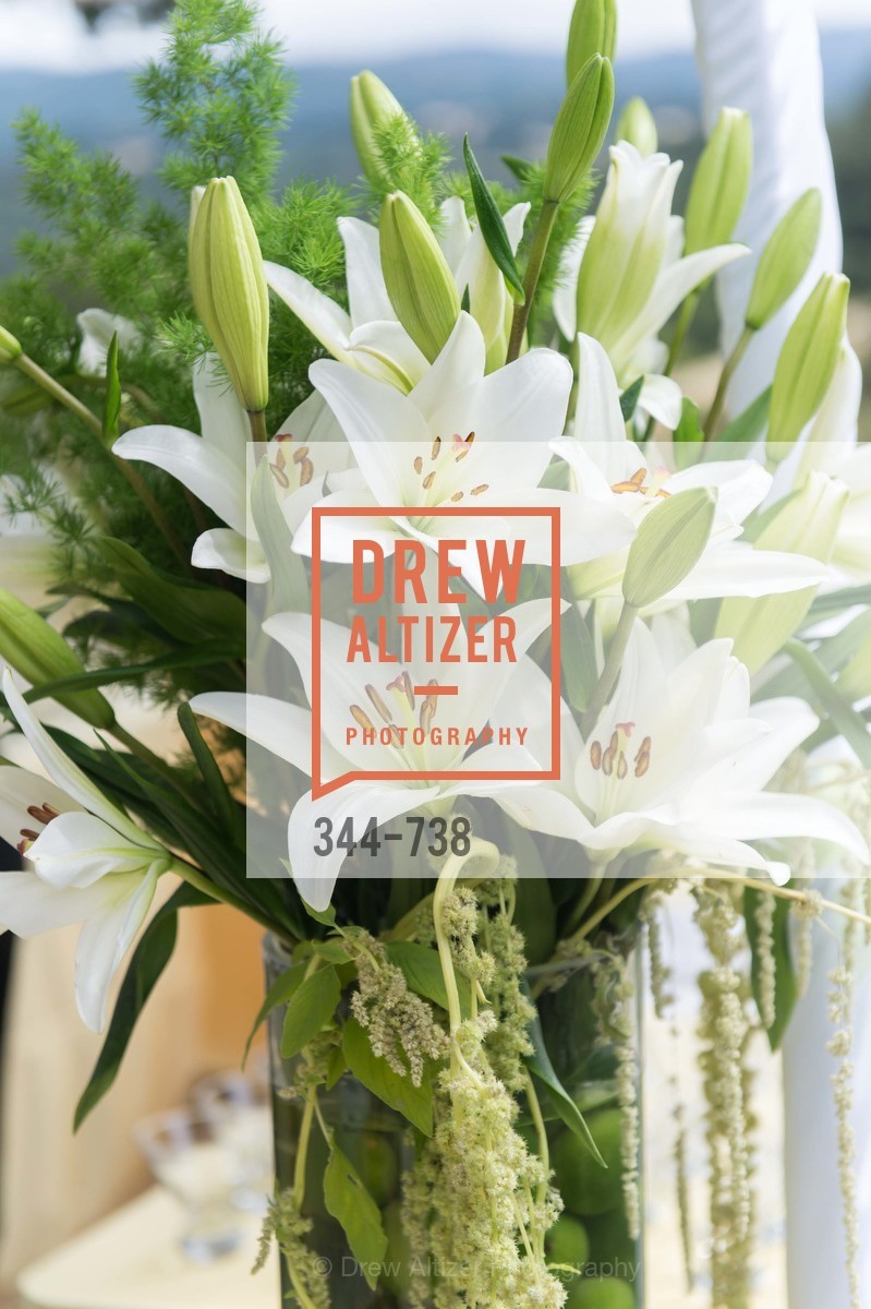Atmosphere, LymeAid 2015, US, May 18th, 2015,Drew Altizer, Drew Altizer Photography, full-service agency, private events, San Francisco photographer, photographer california