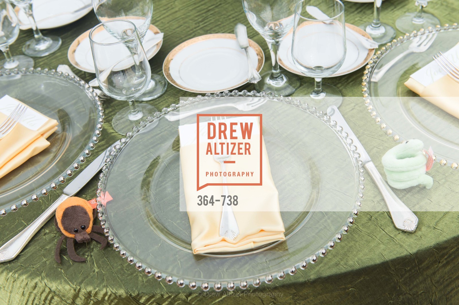 Atmosphere, LymeAid 2015, US, May 18th, 2015,Drew Altizer, Drew Altizer Photography, full-service agency, private events, San Francisco photographer, photographer california