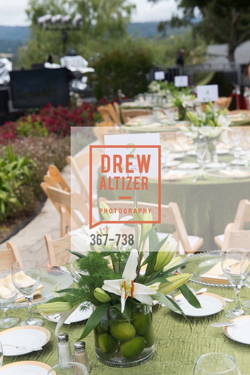 Atmosphere, LymeAid 2015, US, May 18th, 2015,Drew Altizer, Drew Altizer Photography, full-service agency, private events, San Francisco photographer, photographer california
