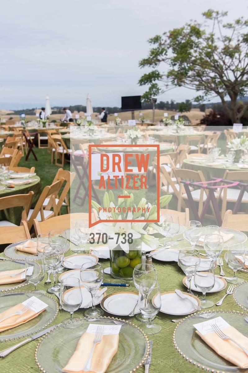 Atmosphere, LymeAid 2015, US, May 18th, 2015,Drew Altizer, Drew Altizer Photography, full-service agency, private events, San Francisco photographer, photographer california