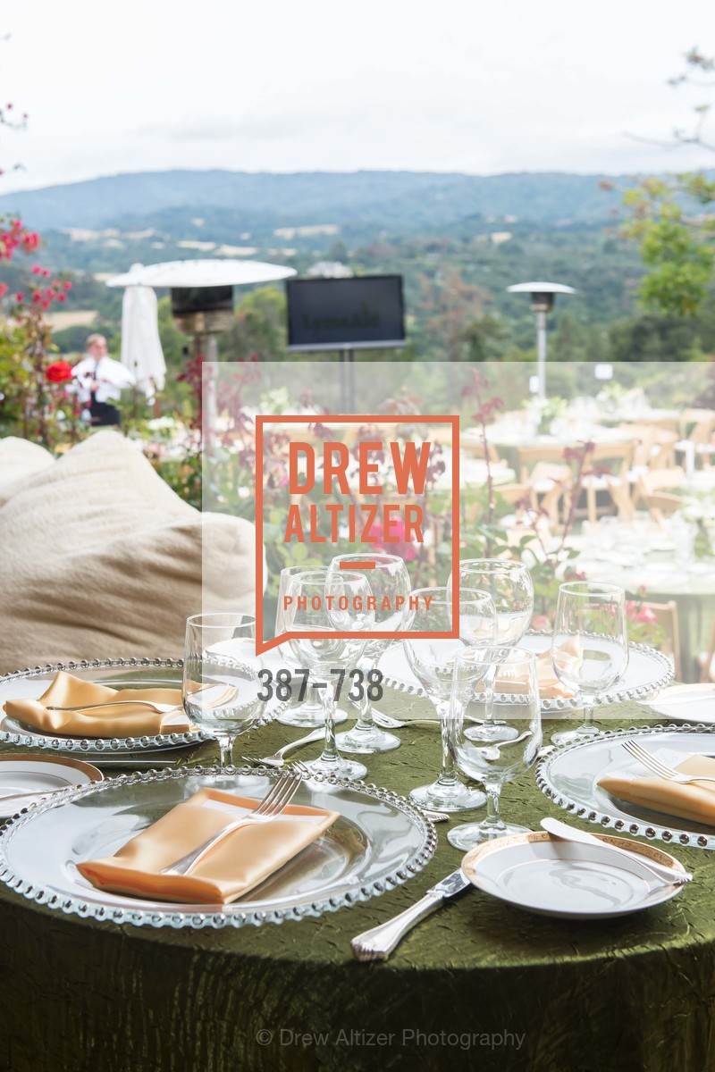 Atmosphere, LymeAid 2015, US, May 18th, 2015,Drew Altizer, Drew Altizer Photography, full-service agency, private events, San Francisco photographer, photographer california