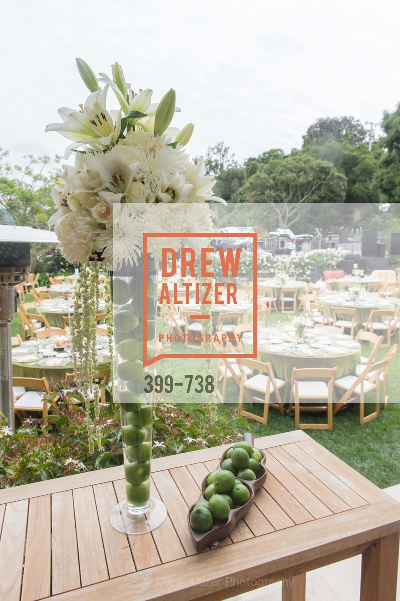 Atmosphere, LymeAid 2015, US, May 18th, 2015,Drew Altizer, Drew Altizer Photography, full-service agency, private events, San Francisco photographer, photographer california