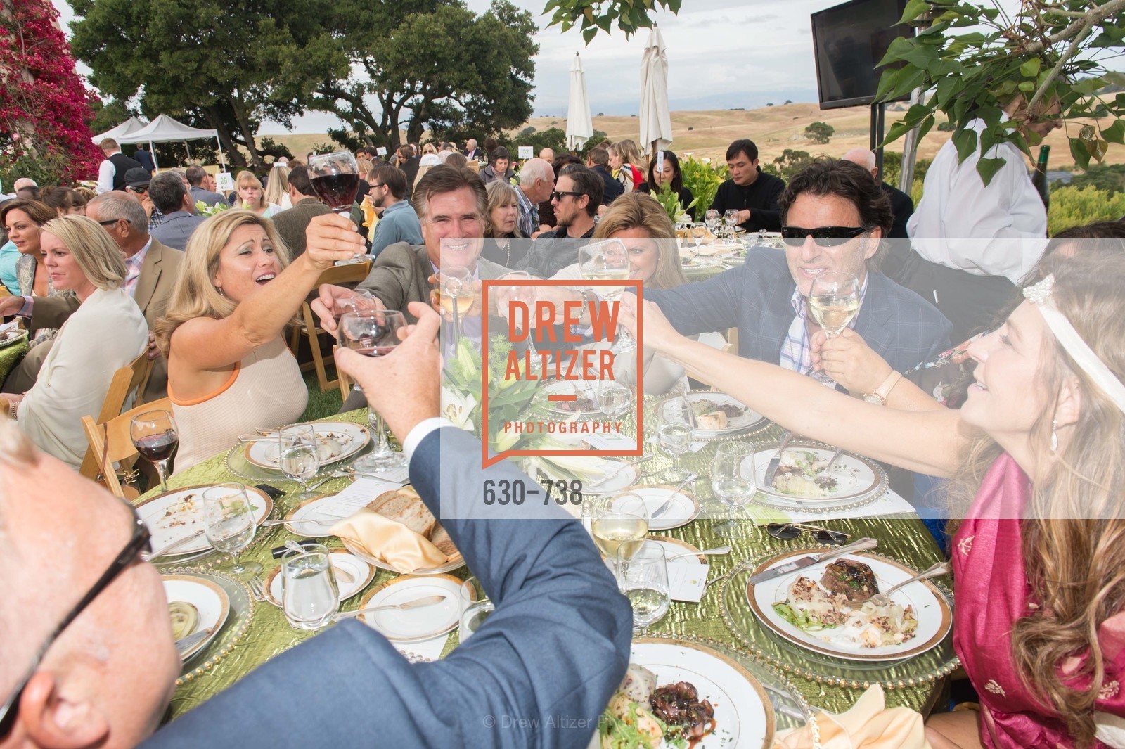 Atmosphere, LymeAid 2015, US, May 18th, 2015,Drew Altizer, Drew Altizer Photography, full-service agency, private events, San Francisco photographer, photographer california