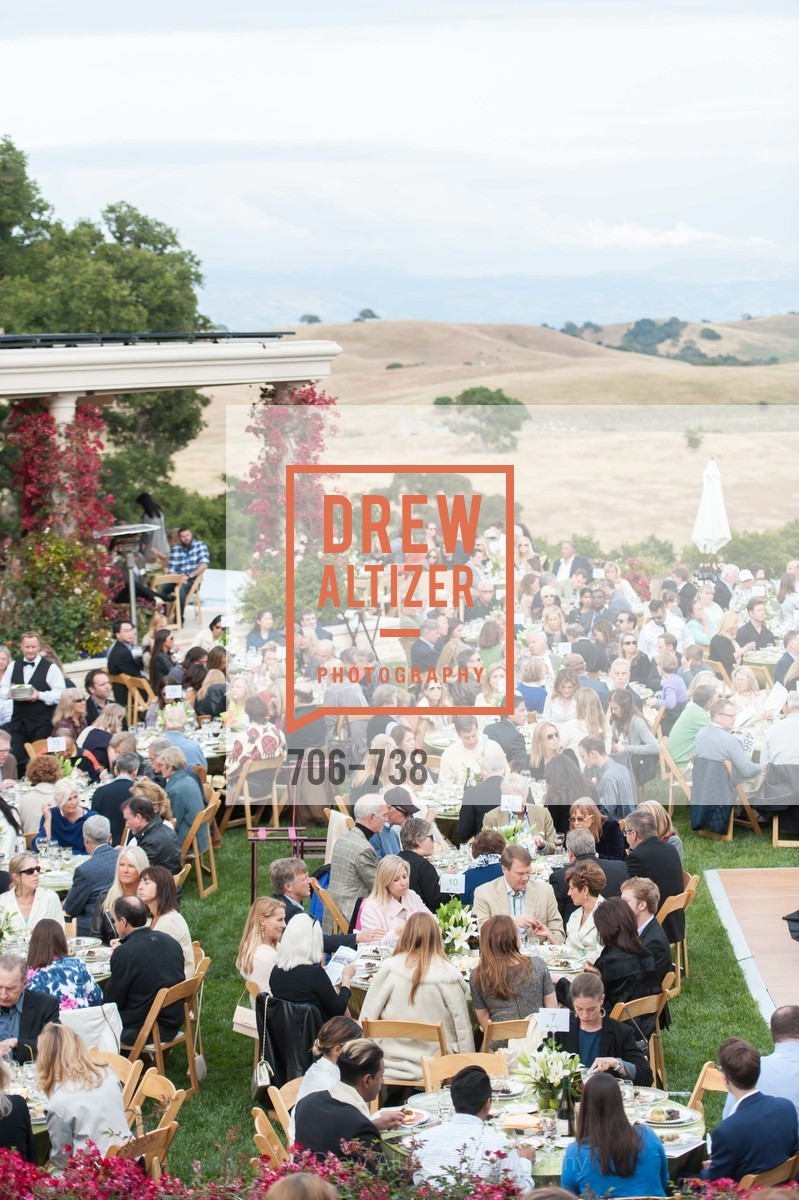 Atmosphere, LymeAid 2015, US, May 18th, 2015,Drew Altizer, Drew Altizer Photography, full-service agency, private events, San Francisco photographer, photographer california