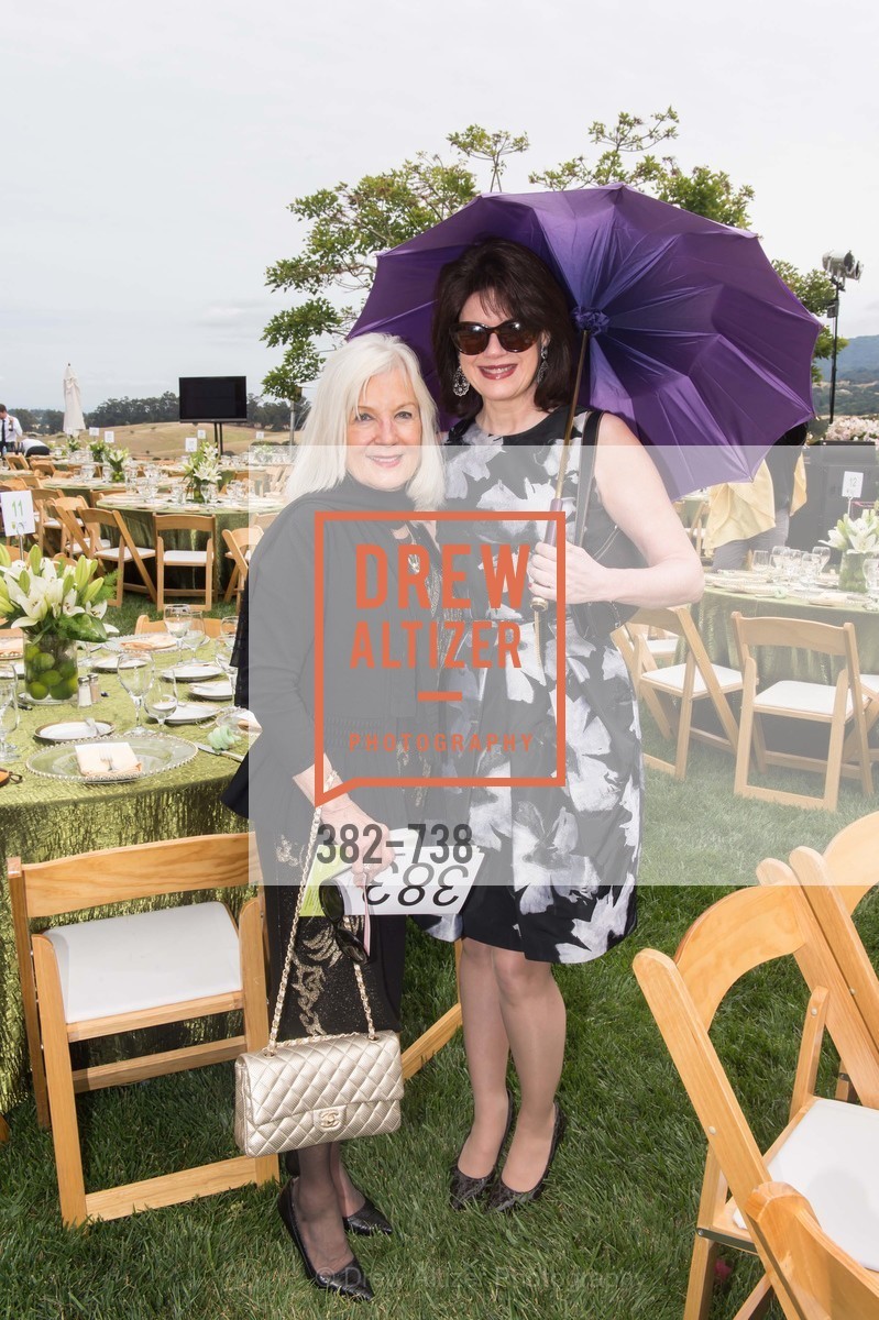 Arlene Inch, Elaine Mellis, LymeAid 2015, US, May 18th, 2015,Drew Altizer, Drew Altizer Photography, full-service agency, private events, San Francisco photographer, photographer california