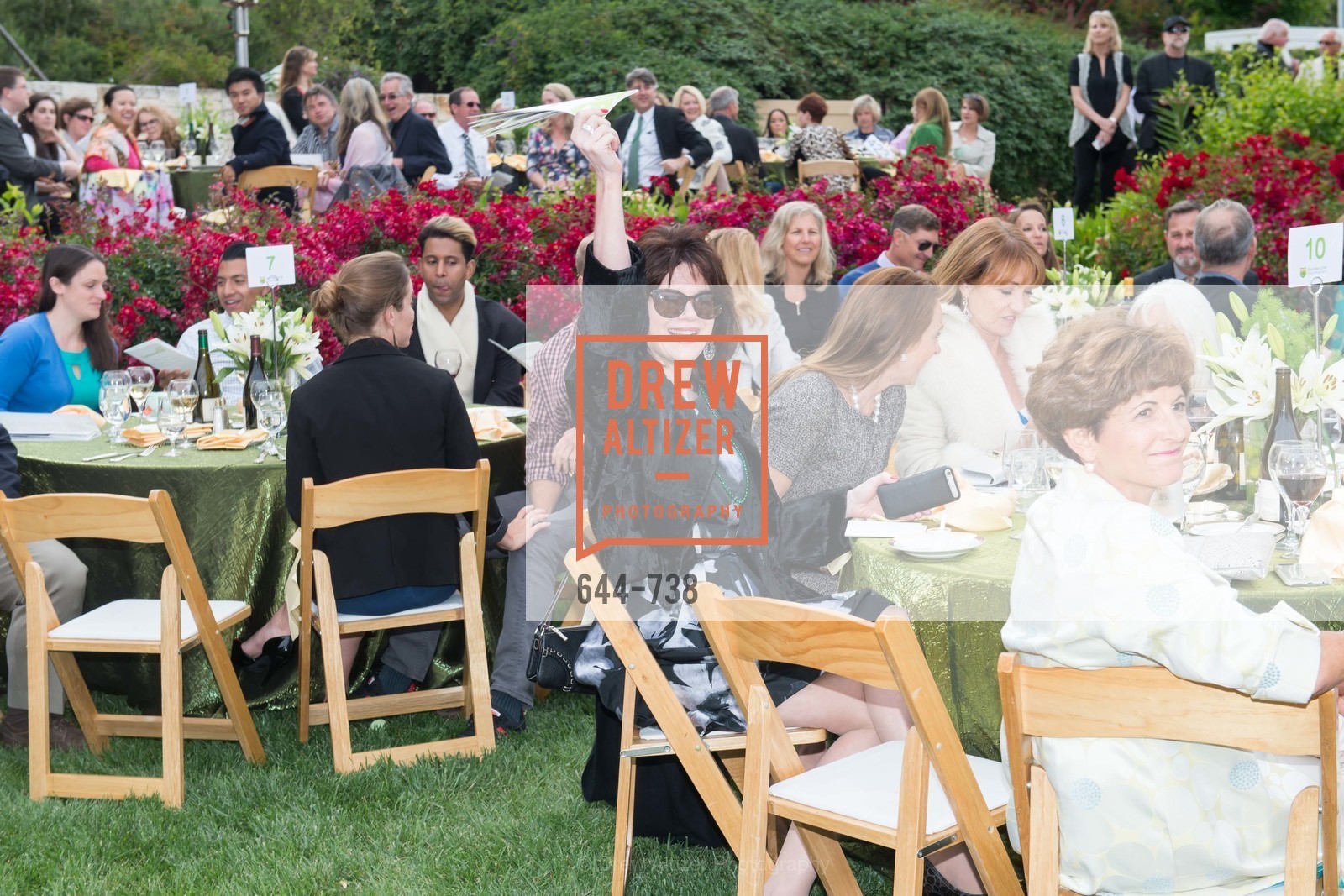 Elaine Mellis, LymeAid 2015, US, May 18th, 2015,Drew Altizer, Drew Altizer Photography, full-service agency, private events, San Francisco photographer, photographer california