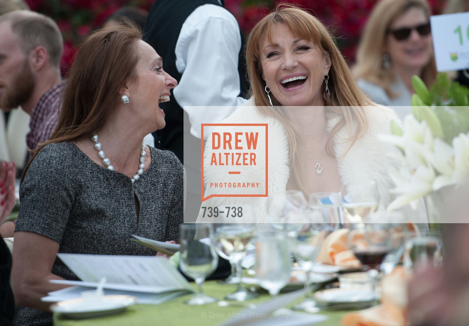 Elisabeth Thieriot, Jane Seymour, LymeAid 2015, US, May 18th, 2015,Drew Altizer, Drew Altizer Photography, full-service agency, private events, San Francisco photographer, photographer california