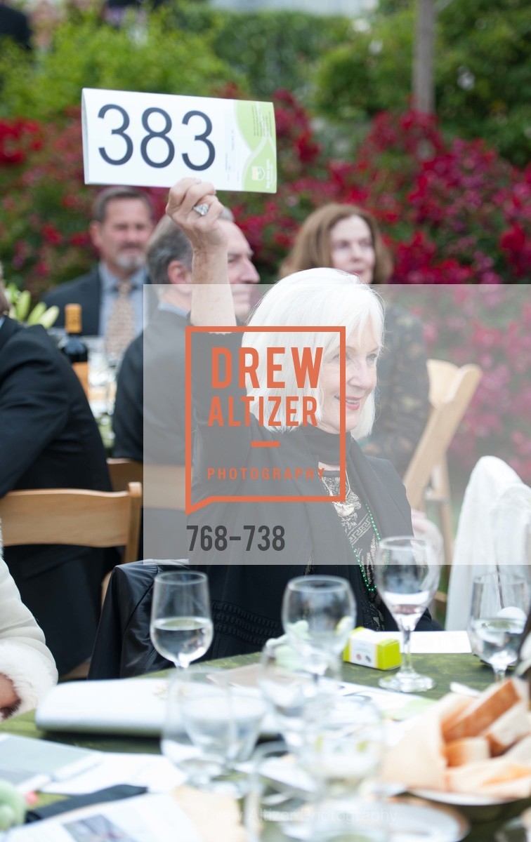 Arlene Inch, LymeAid 2015, US, May 18th, 2015,Drew Altizer, Drew Altizer Photography, full-service agency, private events, San Francisco photographer, photographer california