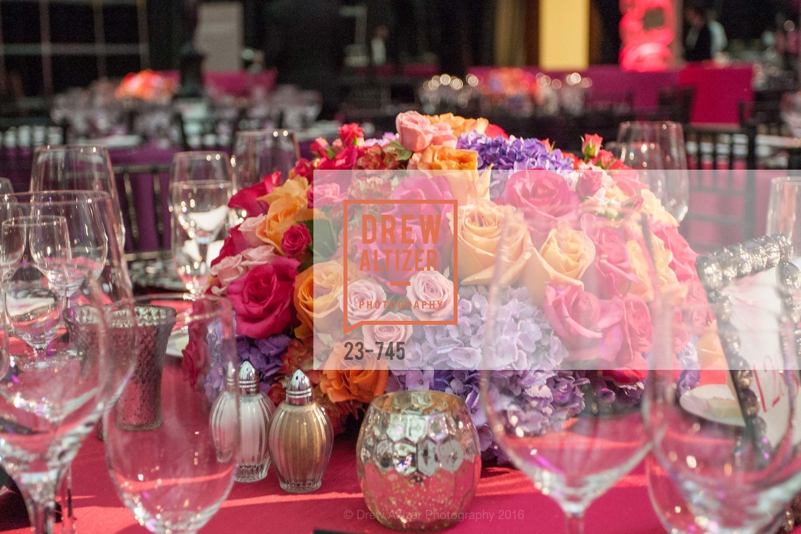 Atmosphere, San Francisco Ballet 2016 Opening Night Gala Part 2, San Francisco City Hall, January 21st, 2016,Drew Altizer, Drew Altizer Photography, full-service agency, private events, San Francisco photographer, photographer california