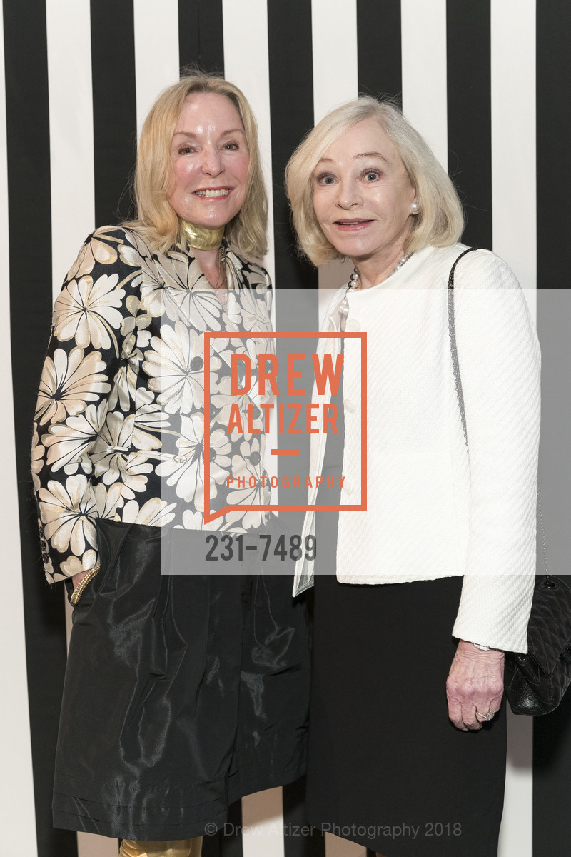 Sandra Swanson, Gretchen Kimball, Bouquets to Art Gala 2018, de Young Museum. 50 Hagiwara Tea Garden Drive, San Francisco, CA 94118, March 12th, 2018, Photo #231-7489 Sandra Swanson, Gretchen Kimball, Photo #231-7489