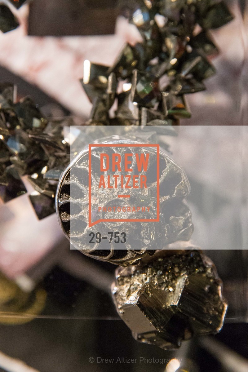 Atmosphere, INSPIRED LUXE Launch Party Hosted by Denise Bradley Tyson, US, Matrix Fillmore, May 28th, 2015,Drew Altizer, Drew Altizer Photography, full-service agency, private events, San Francisco photographer, photographer california