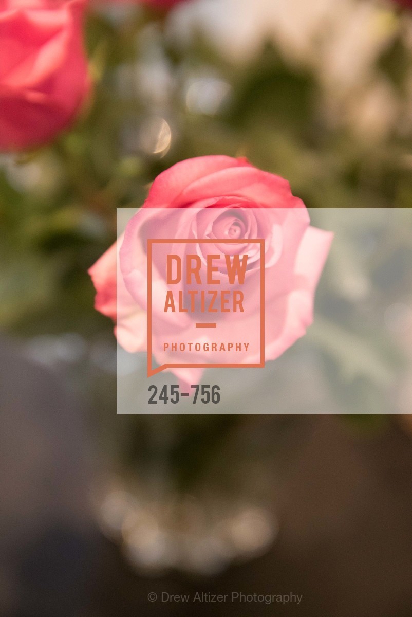 Atmosphere, FAIR TRADE USA: Tapas, Sangria & Music, US. 223 Spruce St, May 30th, 2015,Drew Altizer, Drew Altizer Photography, full-service agency, private events, San Francisco photographer, photographer california