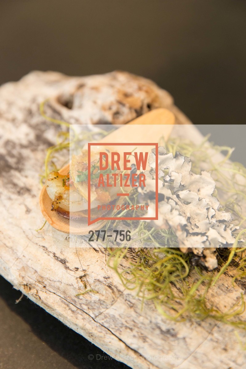 Atmosphere, FAIR TRADE USA: Tapas, Sangria & Music, US. 223 Spruce St, May 30th, 2015,Drew Altizer, Drew Altizer Photography, full-service agency, private events, San Francisco photographer, photographer california