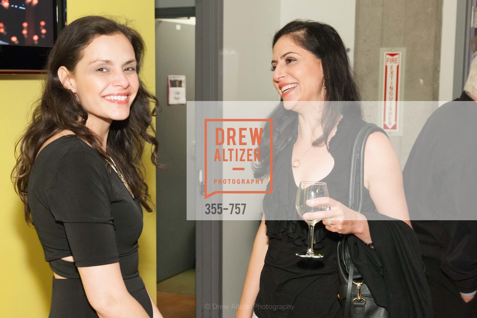 Tamara Scheulob, HOMELESS PRENATAL PROGRAM Our House, Our Mission Gala, Homeless Prenatal Program. 2500 18th St, May 31st, 2015,Drew Altizer, Drew Altizer Photography, full-service agency, private events, San Francisco photographer, photographer california