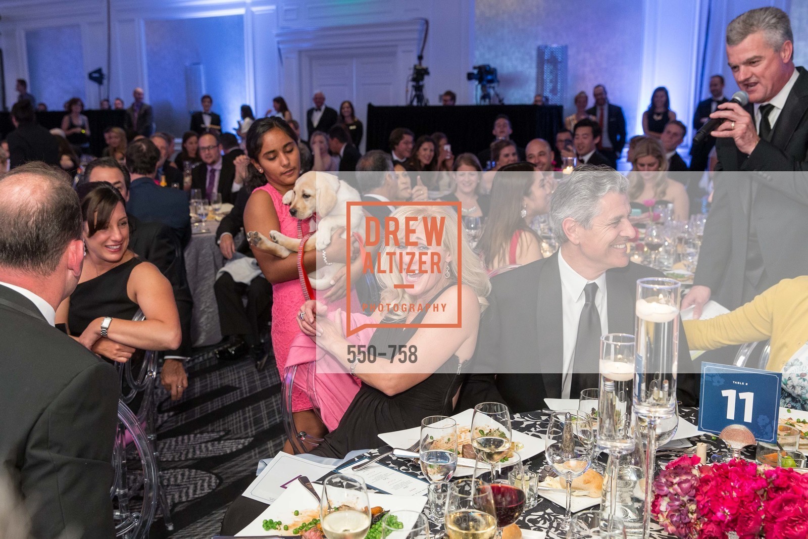 Extras, JUVENILE DIABETES RESEARCH FOUNDATION Hope Gala, May 30th, 2015, Photo,Drew Altizer, Drew Altizer Photography, full-service agency, private events, San Francisco photographer, photographer california
