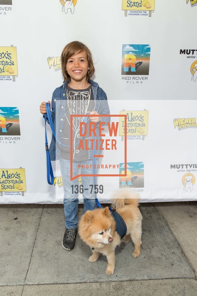 Benji Dawes, WEINER DOG, The Movie, Screening, The Vogue Theater. 3290 Sacramento St, June 1st, 2015,Drew Altizer, Drew Altizer Photography, full-service agency, private events, San Francisco photographer, photographer california