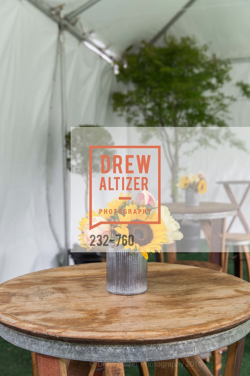 Atmosphere, The Big Picnic! A Benefit & Concert for STERN GROVE FESTIVAL, US, June 14th, 2015,Drew Altizer, Drew Altizer Photography, full-service agency, private events, San Francisco photographer, photographer california