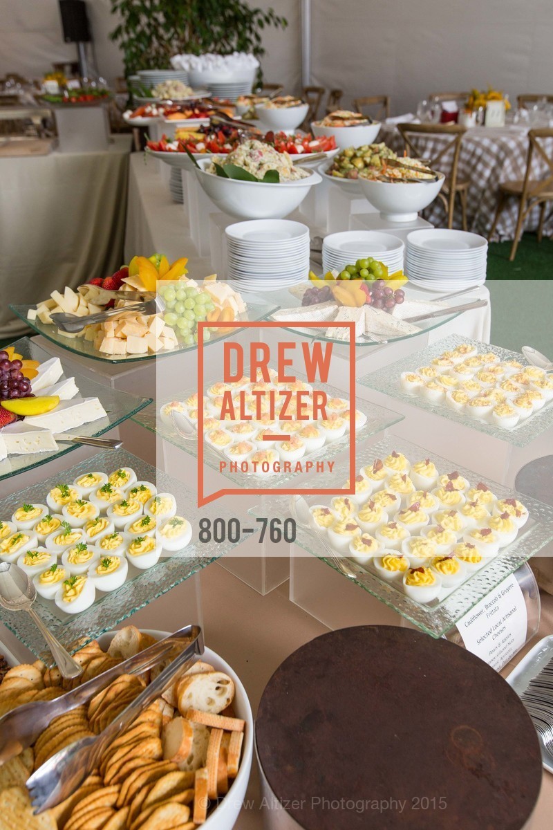Atmosphere, The Big Picnic! A Benefit & Concert for STERN GROVE FESTIVAL, US, June 14th, 2015,Drew Altizer, Drew Altizer Photography, full-service agency, private events, San Francisco photographer, photographer california