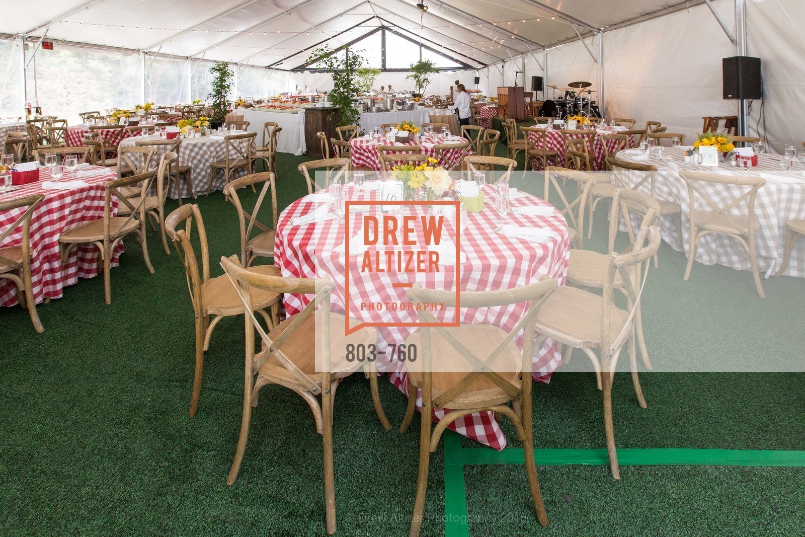 Atmosphere, The Big Picnic! A Benefit & Concert for STERN GROVE FESTIVAL, US, June 14th, 2015,Drew Altizer, Drew Altizer Photography, full-service agency, private events, San Francisco photographer, photographer california