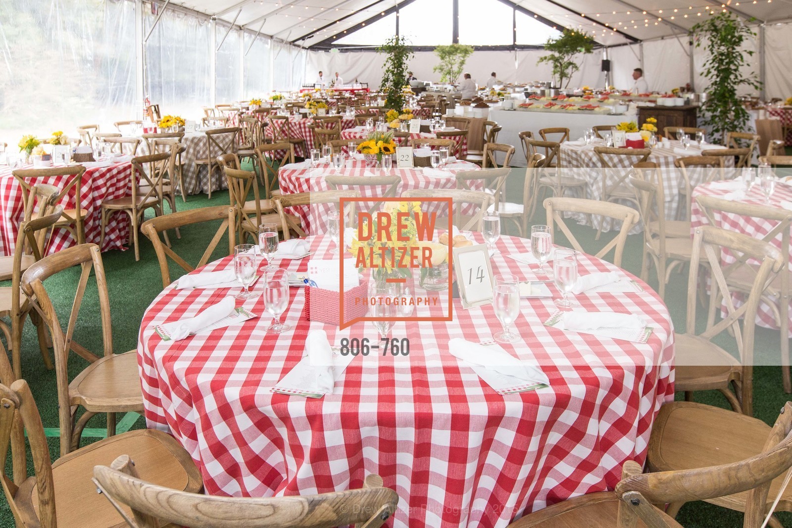 Atmosphere, The Big Picnic! A Benefit & Concert for STERN GROVE FESTIVAL, US, June 14th, 2015,Drew Altizer, Drew Altizer Photography, full-service agency, private events, San Francisco photographer, photographer california