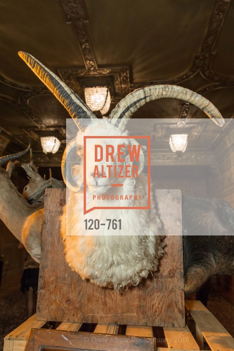 Atmosphere, Edwardian Ball, Regency Center, January 24th, 2016,Drew Altizer, Drew Altizer Photography, full-service agency, private events, San Francisco photographer, photographer california