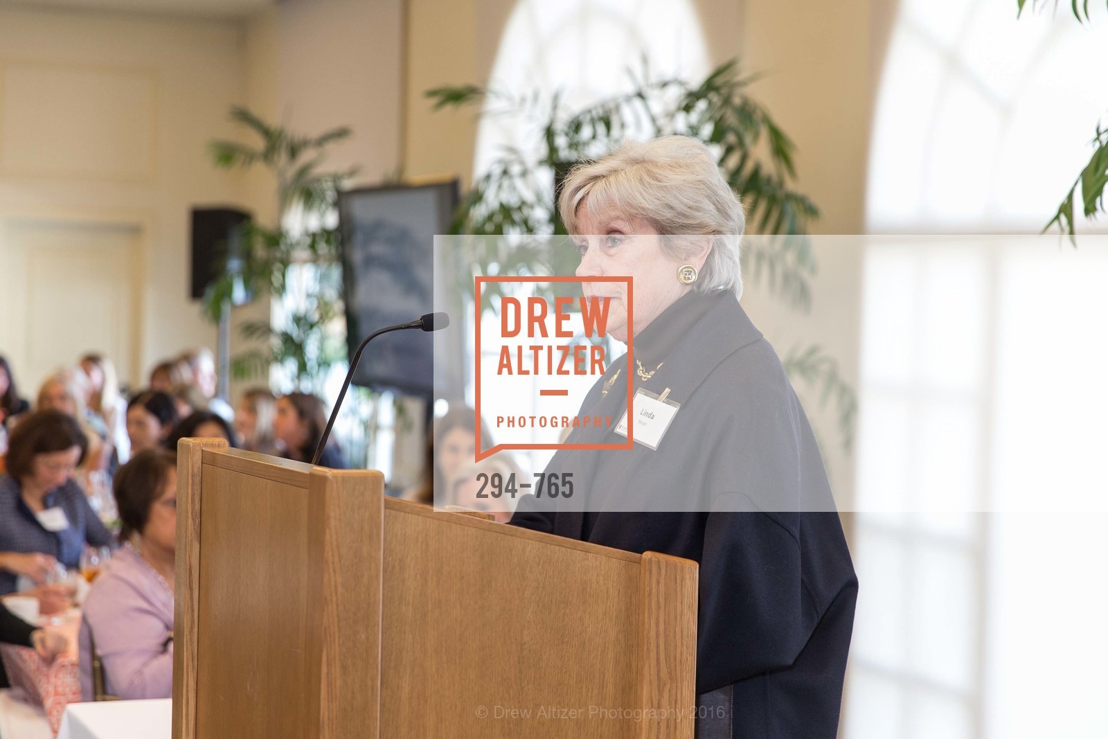 Linda Meier, Stanford Women's Health Lunch, Menlo Circus Club. 190 Park Lane, January 26th, 2016,Drew Altizer, Drew Altizer Photography, full-service agency, private events, San Francisco photographer, photographer california