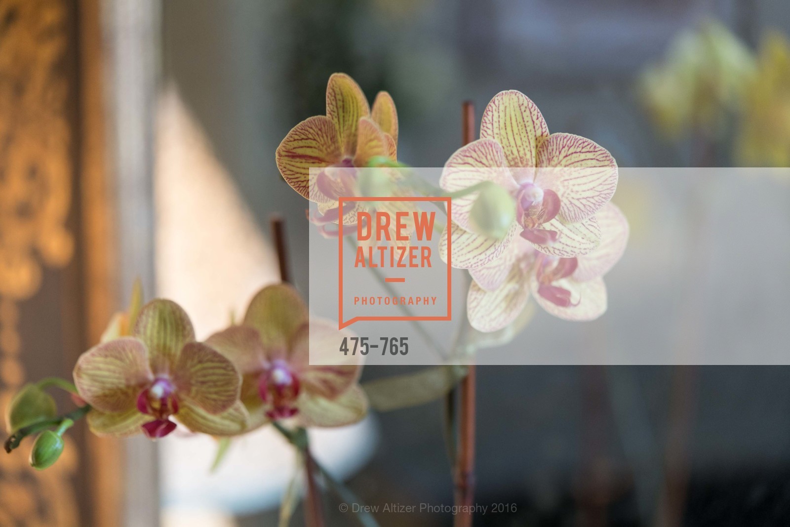 Atmosphere, Stanford Women's Health Lunch, Menlo Circus Club. 190 Park Lane, January 26th, 2016,Drew Altizer, Drew Altizer Photography, full-service agency, private events, San Francisco photographer, photographer california