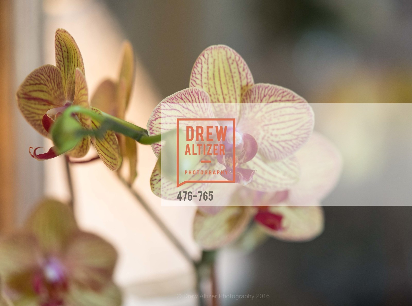 Atmosphere, Stanford Women's Health Lunch, Menlo Circus Club. 190 Park Lane, January 26th, 2016,Drew Altizer, Drew Altizer Photography, full-service agency, private events, San Francisco photographer, photographer california