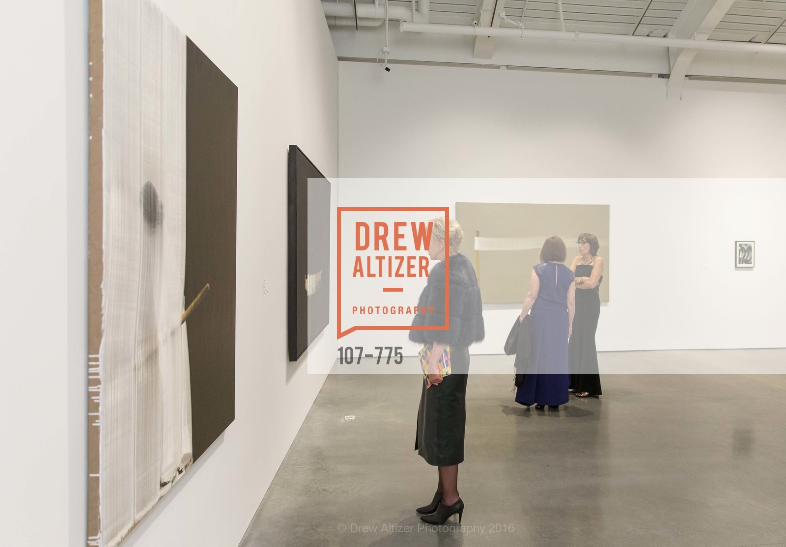 Atmosphere, UC Berkeley Art Museum & Pacific Film Archive Gala, BAMPFA. 2120 Oxford Street, January 28th, 2016