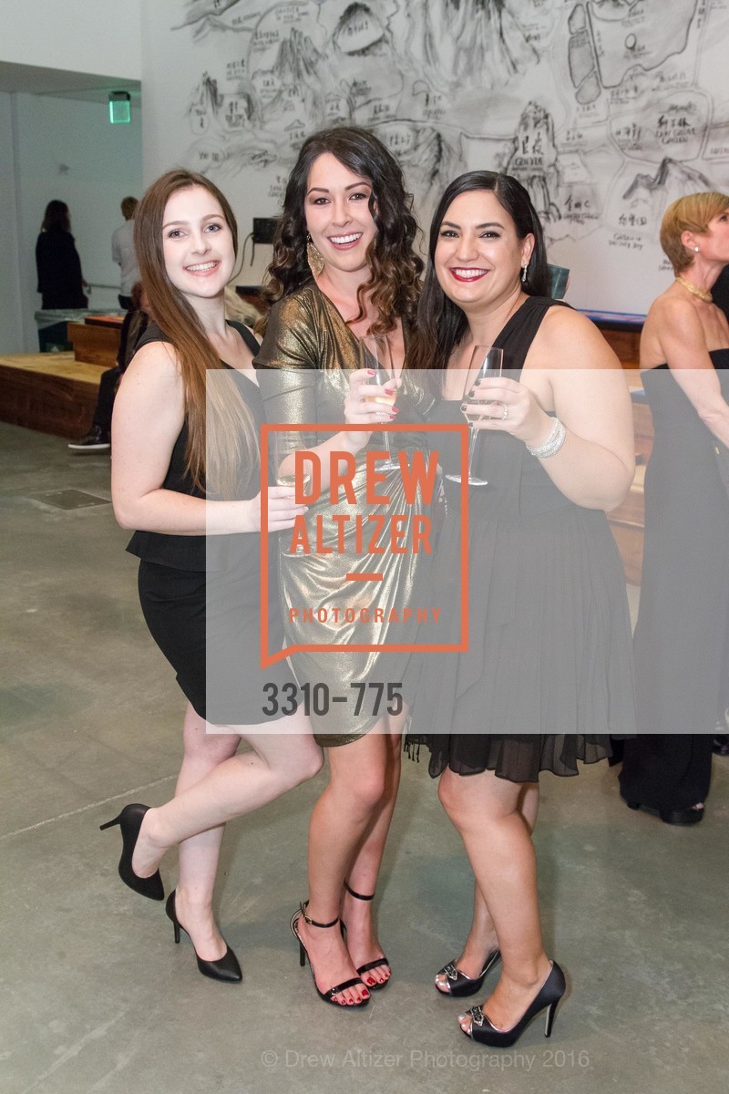 Morgan Pilcher, Natasha Best, Mia Gitlin, UC Berkeley Art Museum & Pacific Film Archive Gala, UC Berkeley. 2120 Oxford Street, January 28th, 2016, Photo #3310-775 Morgan Pilcher, Natasha Best, Mia Gitlin, Photo #3310-775