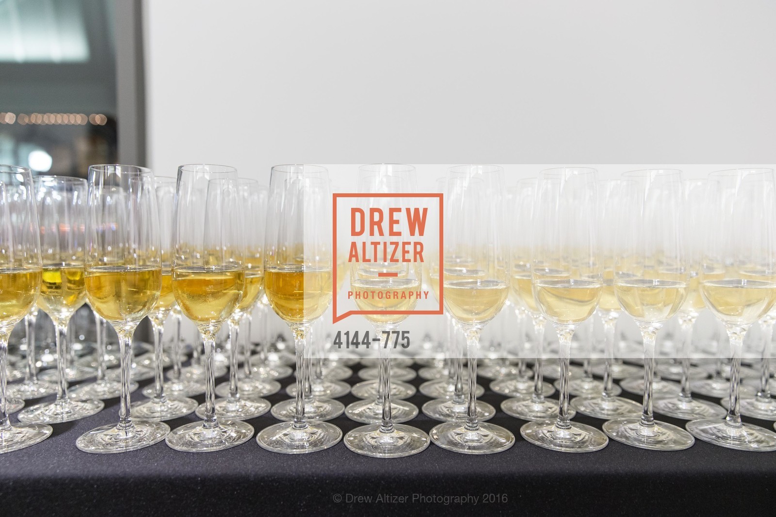 Atmosphere, UC Berkeley Art Museum & Pacific Film Archive Gala, BAMPFA. 2120 Oxford Street, January 28th, 2016,Drew Altizer, Drew Altizer Photography, full-service agency, private events, San Francisco photographer, photographer california