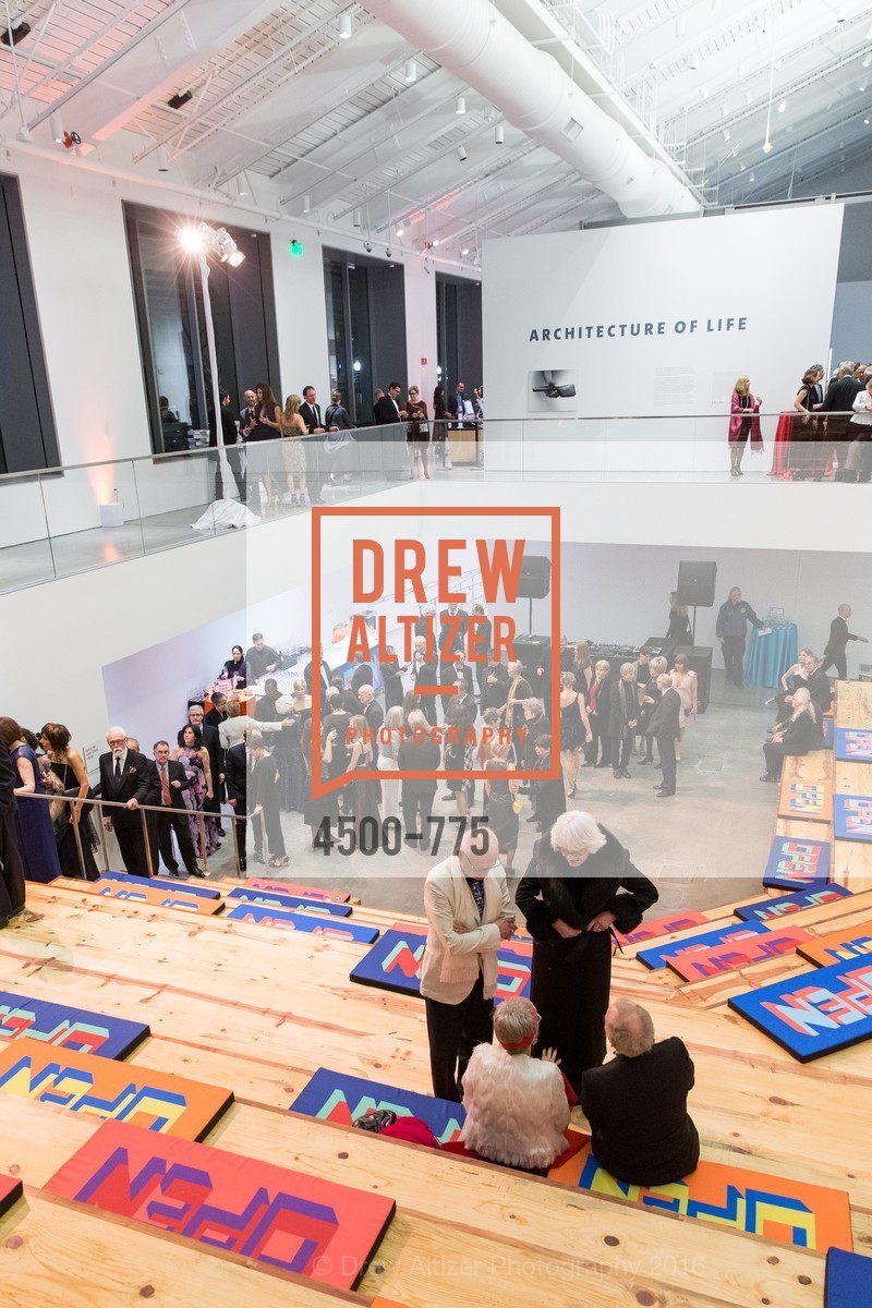 Atmosphere, UC Berkeley Art Museum & Pacific Film Archive Gala, BAMPFA. 2120 Oxford Street, January 28th, 2016,Drew Altizer, Drew Altizer Photography, full-service agency, private events, San Francisco photographer, photographer california