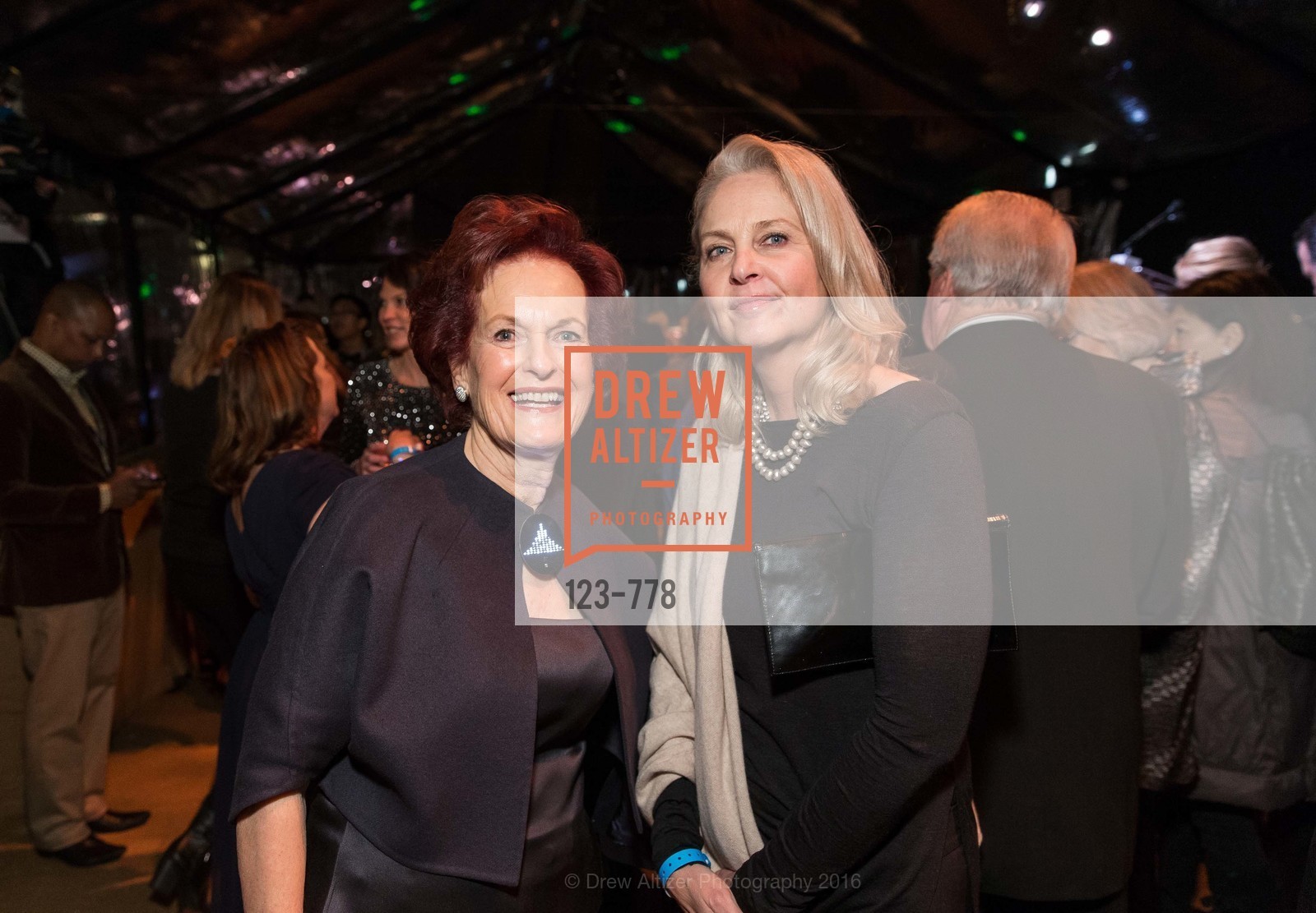 Helen Hilton Raiser, Catherine Hackworth, The Bay Lights Grand Relighting Celebration, Epic Steakhouse. 369 The Embarcadero, January 29th, 2016,Drew Altizer, Drew Altizer Photography, full-service agency, private events, San Francisco photographer, photographer california