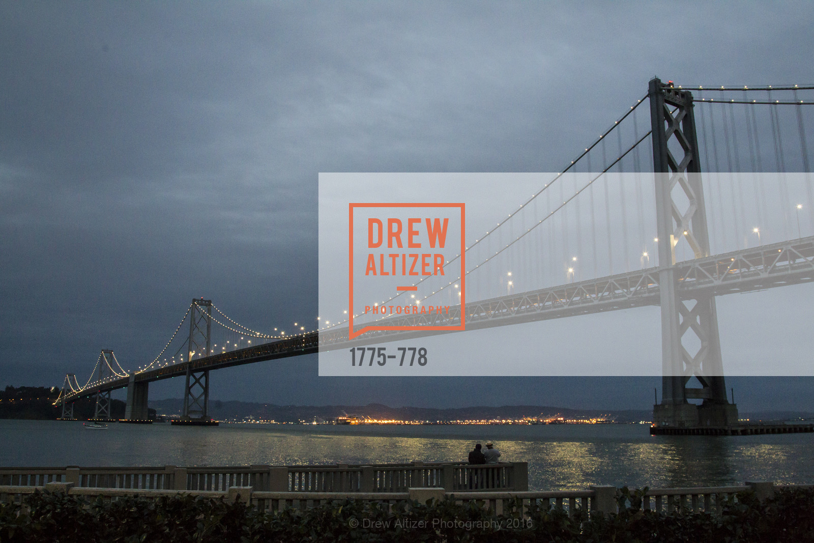 Atmosphere, The Bay Lights Grand Relighting Celebration, January 29th, 2016, Photo,Drew Altizer, Drew Altizer Photography, full-service agency, private events, San Francisco photographer, photographer california