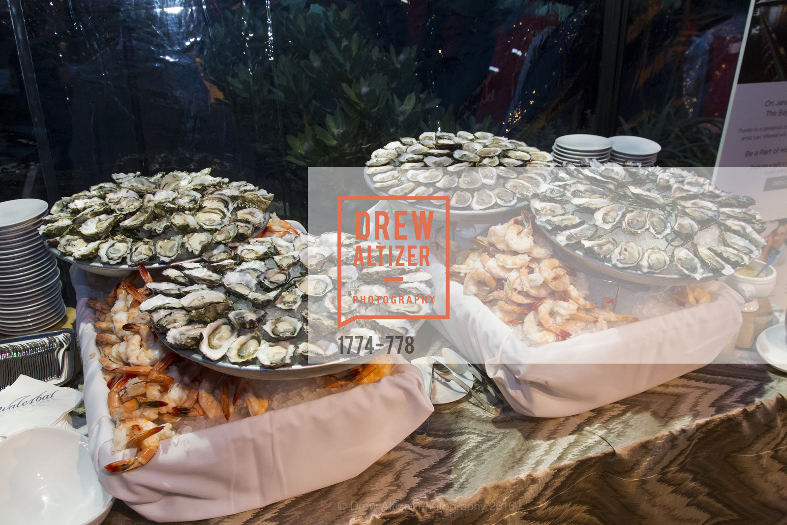 Atmosphere, The Bay Lights Grand Relighting Celebration, January 29th, 2016, Photo,Drew Altizer, Drew Altizer Photography, full-service agency, private events, San Francisco photographer, photographer california
