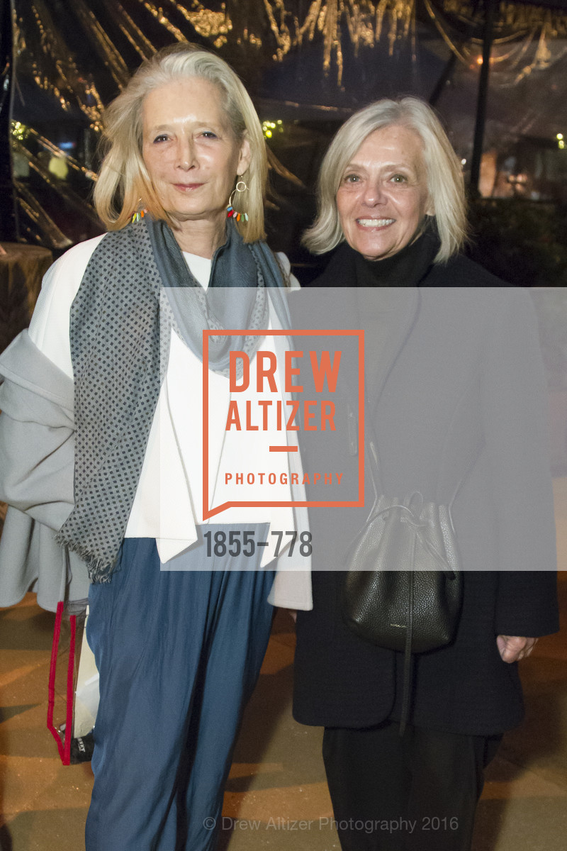 Top Picks, The Bay Lights Grand Relighting Celebration, January 29th, 2016, Photo,Drew Altizer, Drew Altizer Photography, full-service agency, private events, San Francisco photographer, photographer california