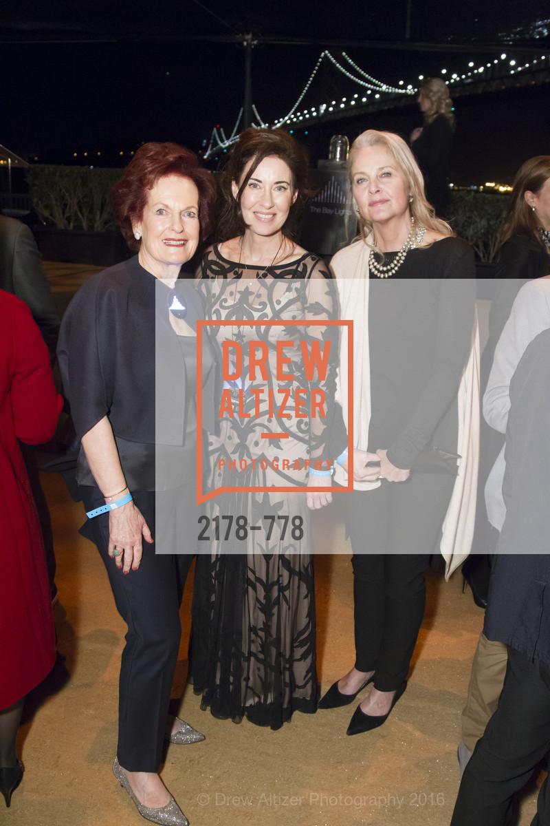 Top Picks, The Bay Lights Grand Relighting Celebration, January 29th, 2016, Photo,Drew Altizer, Drew Altizer Photography, full-service agency, private events, San Francisco photographer, photographer california