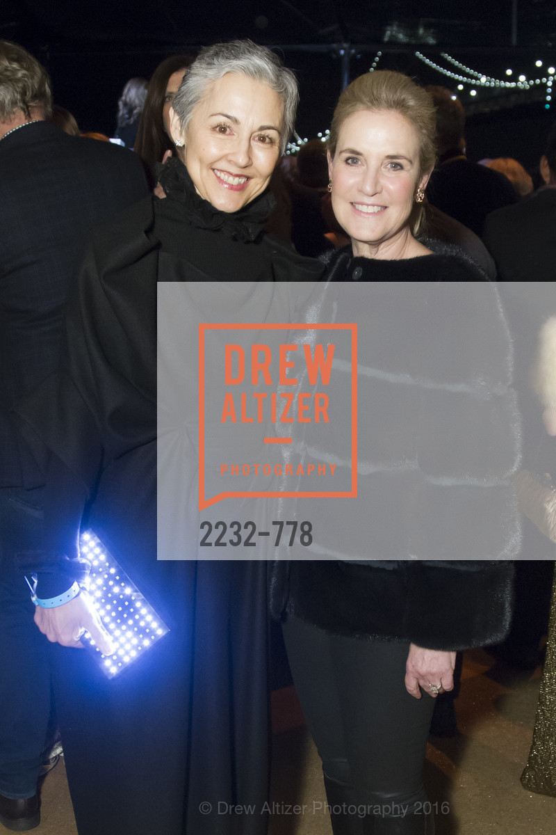 Top Picks, The Bay Lights Grand Relighting Celebration, January 29th, 2016, Photo,Drew Altizer, Drew Altizer Photography, full-service agency, private events, San Francisco photographer, photographer california