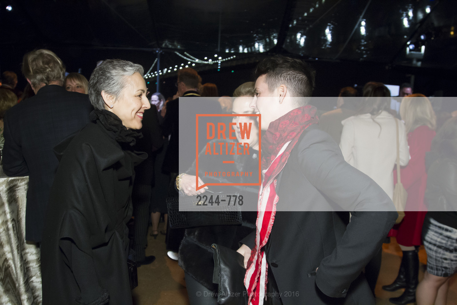 Extras, The Bay Lights Grand Relighting Celebration, January 29th, 2016, Photo,Drew Altizer, Drew Altizer Photography, full-service agency, private events, San Francisco photographer, photographer california