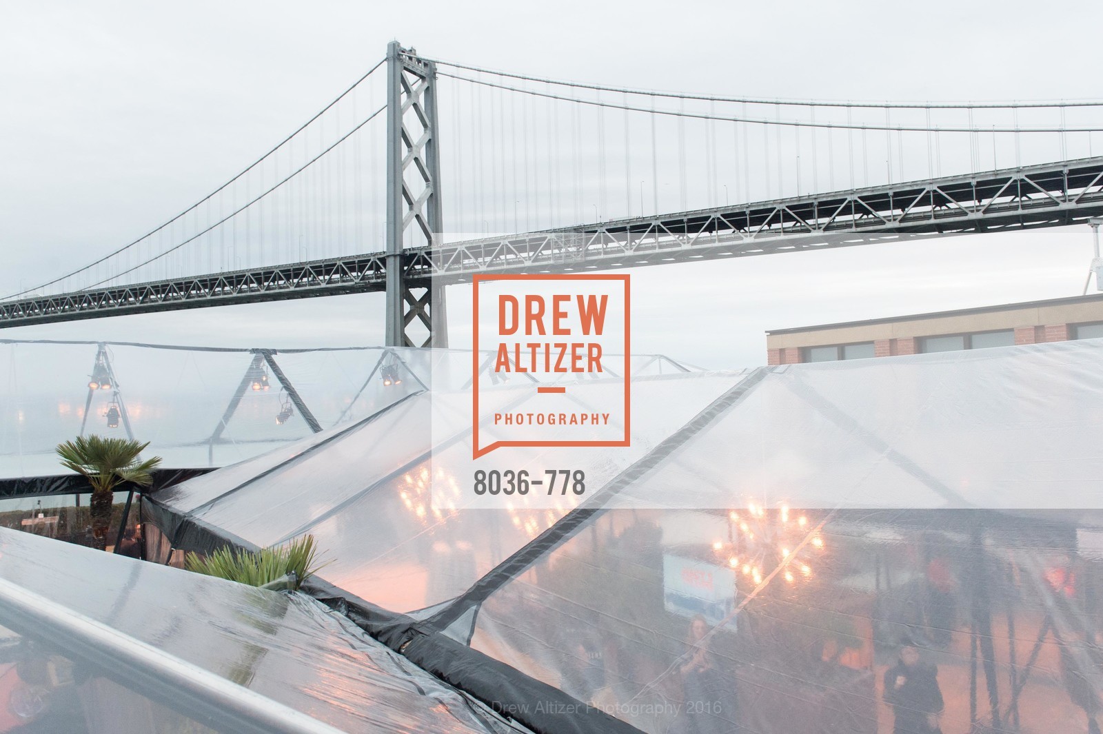 Extras, The Bay Lights Grand Relighting Celebration, January 29th, 2016, Photo,Drew Altizer, Drew Altizer Photography, full-service agency, private events, San Francisco photographer, photographer california