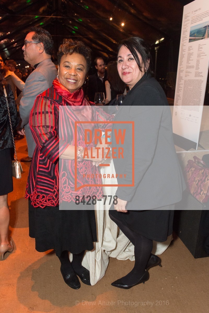 Extras, The Bay Lights Grand Relighting Celebration, January 29th, 2016, Photo,Drew Altizer, Drew Altizer Photography, full-service agency, private events, San Francisco photographer, photographer california