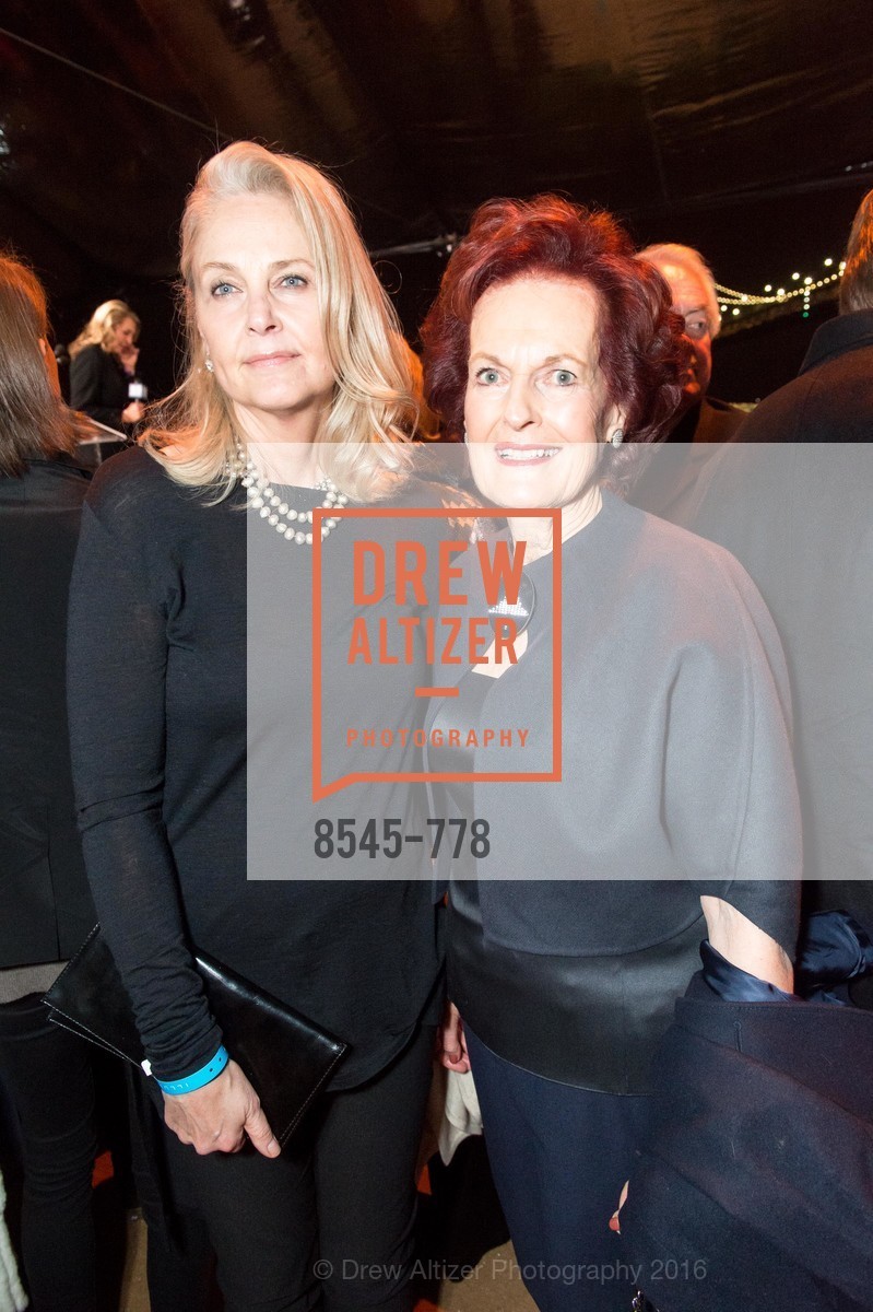 Extras, The Bay Lights Grand Relighting Celebration, January 29th, 2016, Photo,Drew Altizer, Drew Altizer Photography, full-service agency, private events, San Francisco photographer, photographer california