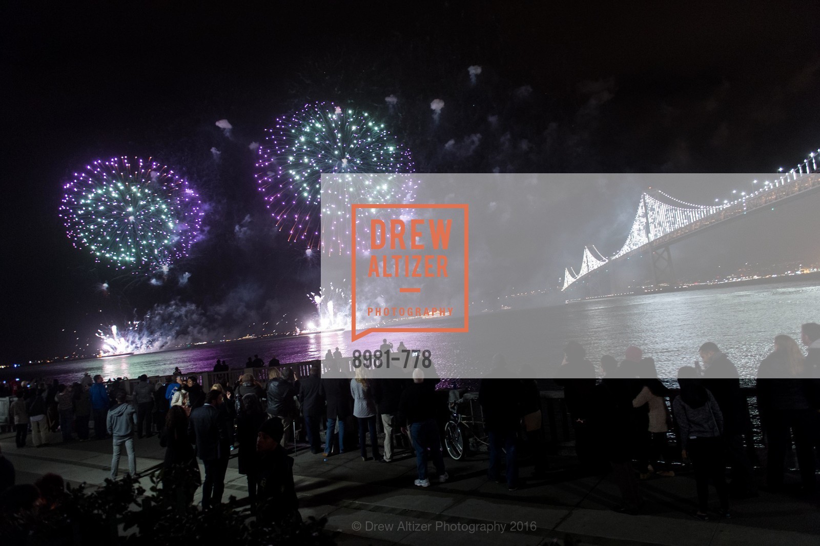Extras, The Bay Lights Grand Relighting Celebration, January 29th, 2016, Photo,Drew Altizer, Drew Altizer Photography, full-service agency, private events, San Francisco photographer, photographer california